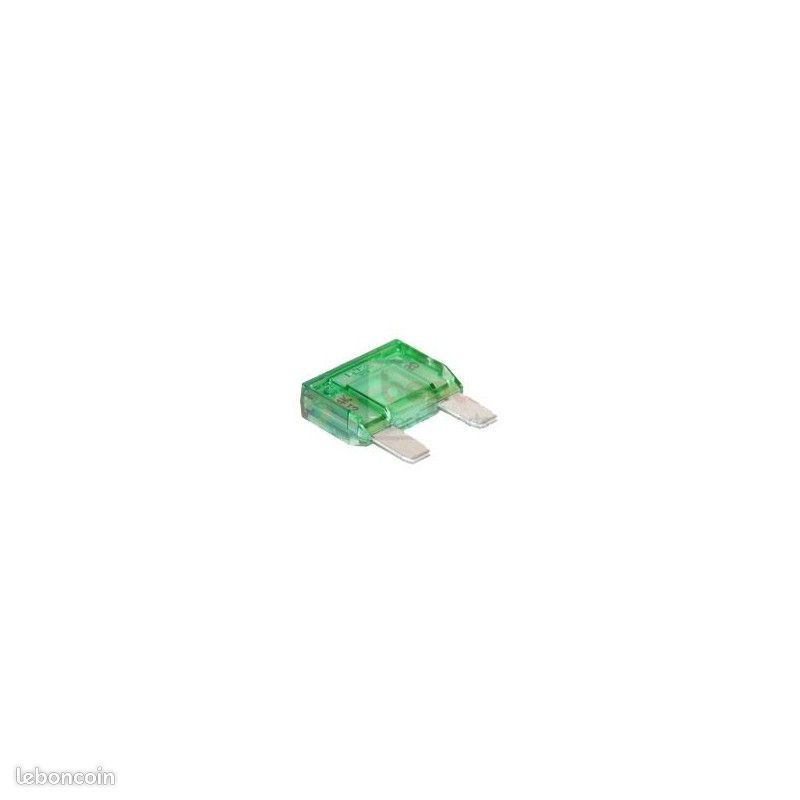 10 X Fusibles à fiche 30 Amp vert (image 1)