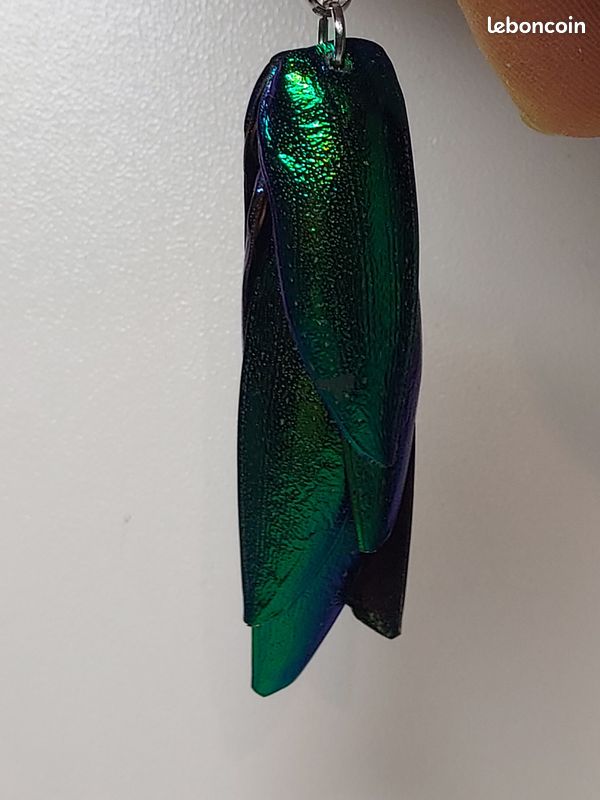 Pendentif élytres Sternocera – Vrai scarabée – Collier argent 925 – Bijou curiosités – Insecte naturel – Chaînes au choix (image 11)