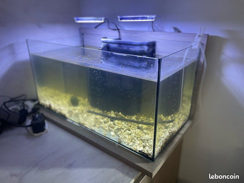 Aquarium (image 2)