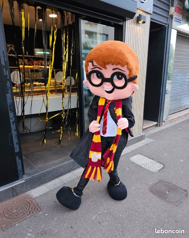 Mascotte / déguisement (image 5)