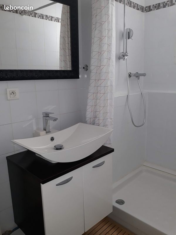 T2 meublé centre ville Agen - Agen 47000 (image principale 5)