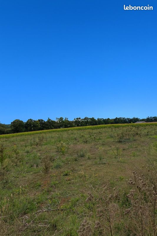 Vente Terrain Savigneux · 109 000 €