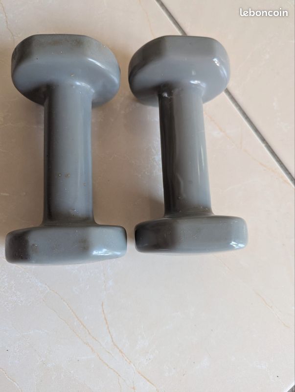 2 poids 2kg gris (image 1)