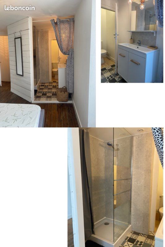 T2 meuble avec cour (image 3)