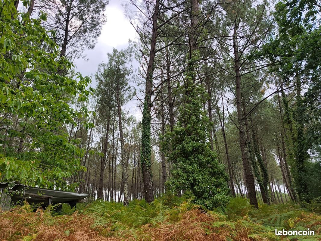 Forêt 40 000 m² Saint Julien En Born · à Saint-Julien-en-Born · 62 000 €