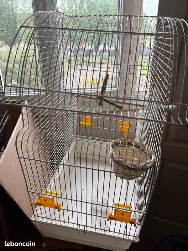 Cage oiseaux (image 3)