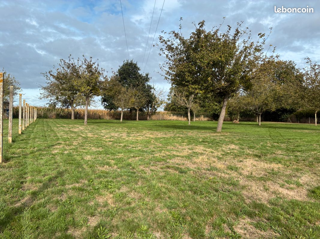 Terrain 2324 m² tournai sur dive · à Tournai-sur-Dive · 35 000 €