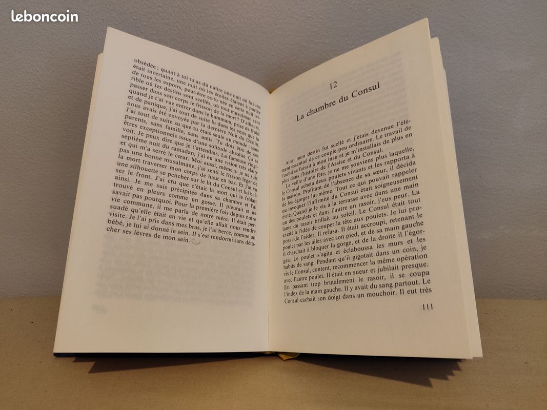 La nuit sacrée - Tahar Ben Jelloun (image 6)