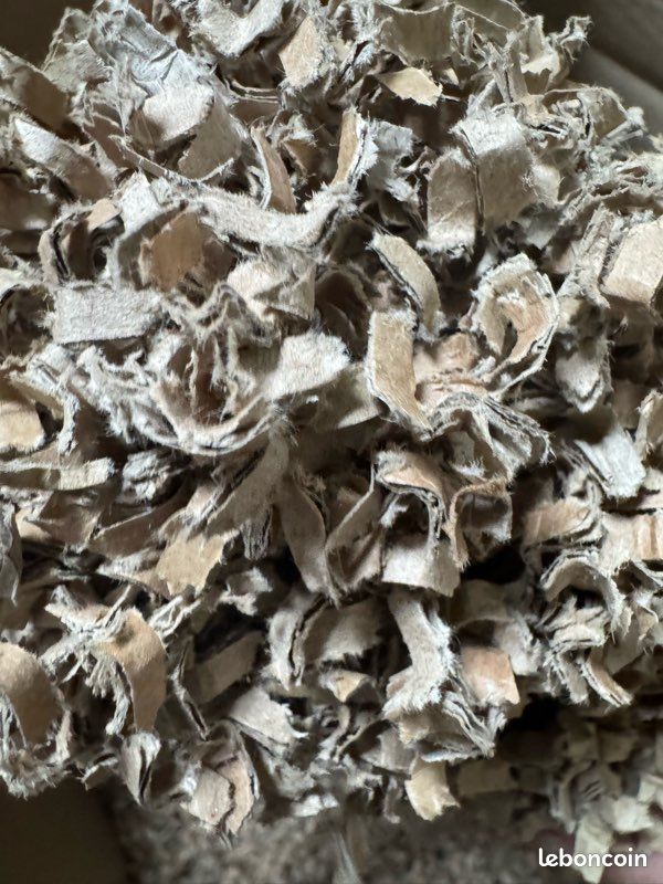 Litière carton écologique pour chevaux (image 2)