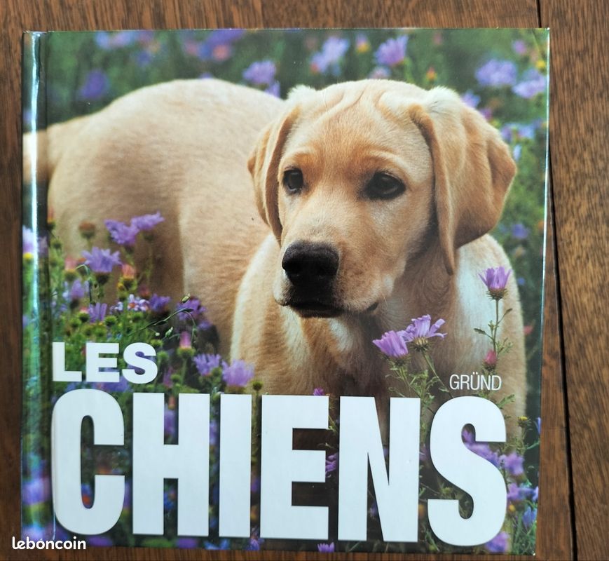 Livre Cube Les Chiens (image 2)