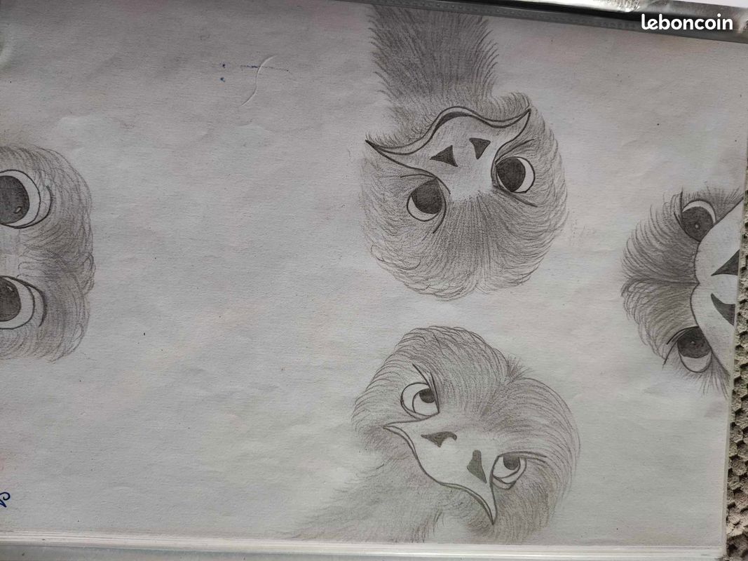 Dessin (image 2)