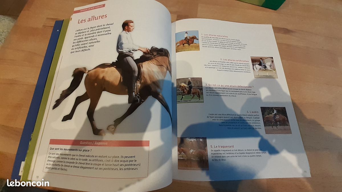 Coffret 2 livres Mon cheval (image 6)
