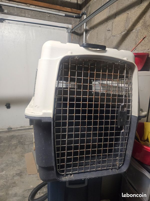 Caisse chien (image 1)