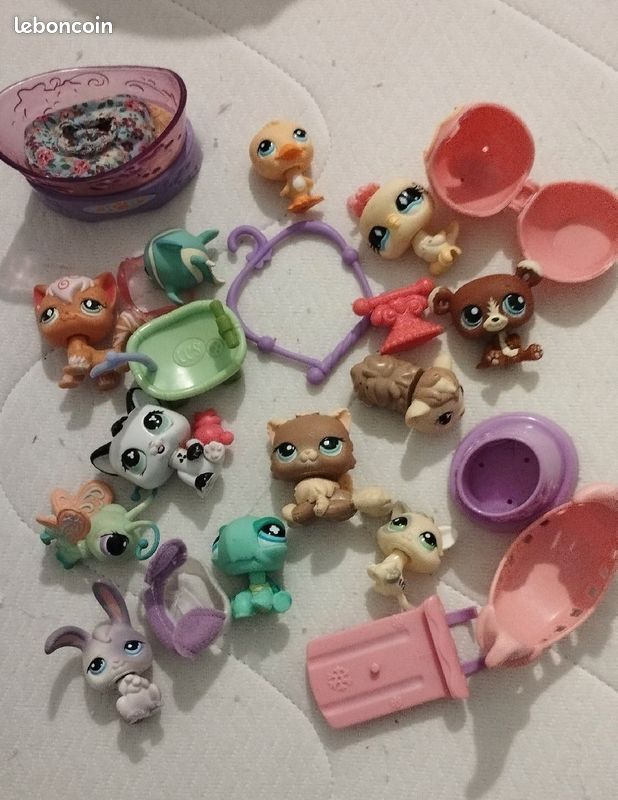 Salon de toilettage little petshop (image 4)