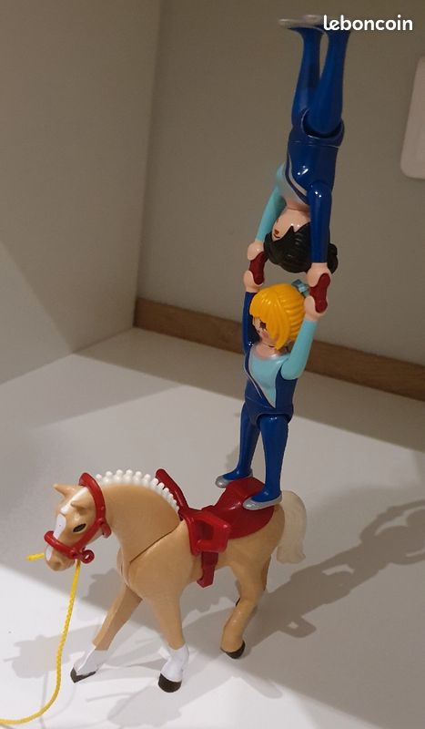 Playmobil Country 6933 Voltigeuses et cheval (image 8)