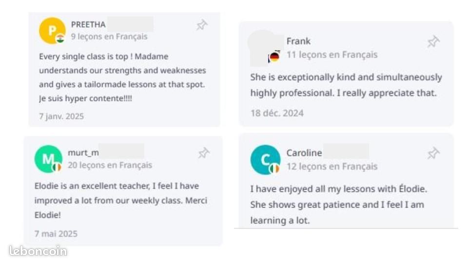 Cours particuliers français FLE, réussite DELF DALF TEF (image 3)