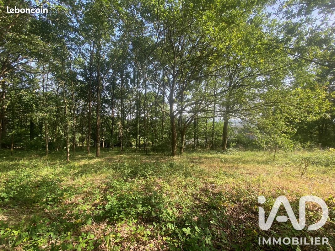 Terrain 1800 m² · à La Flèche · 1 800 m² · 96 000 €