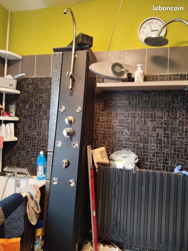 Bac à douche et collone de douche (image 4)