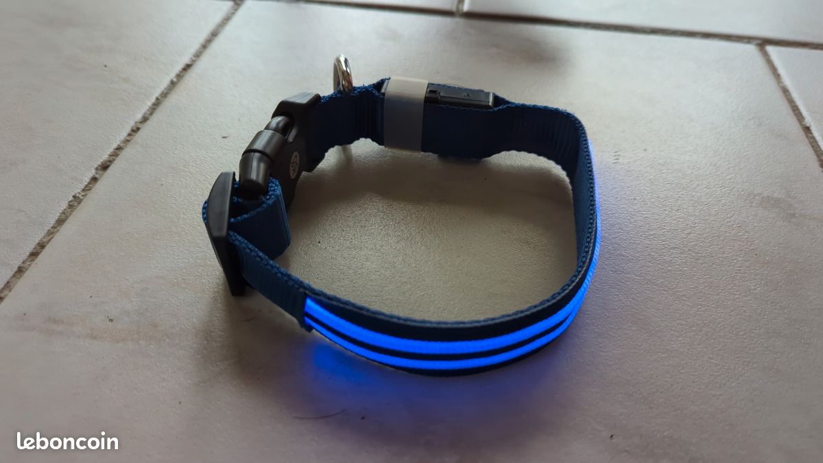 Collier pour chien lumineux (image 1)