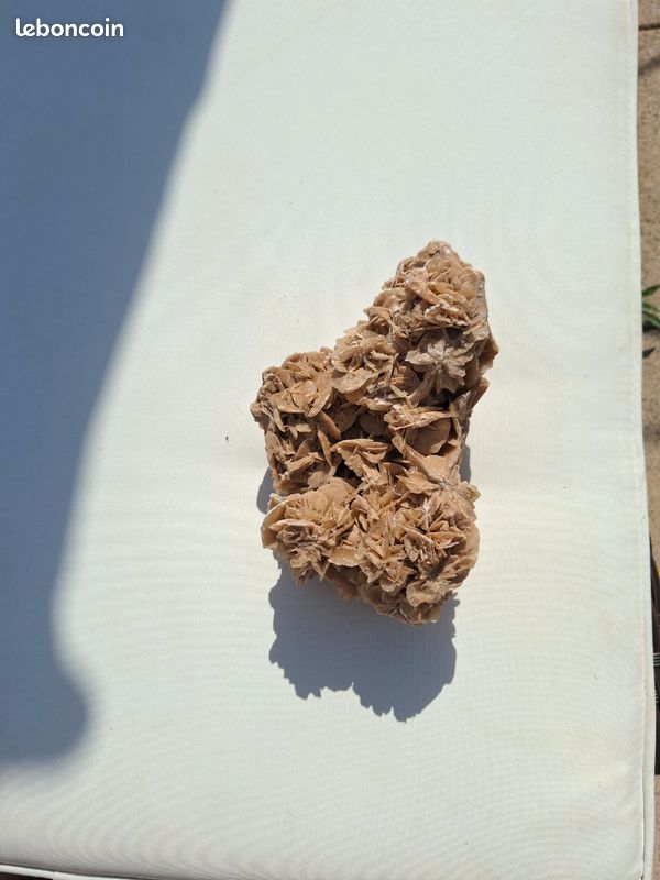 Rose des sables (image 3)