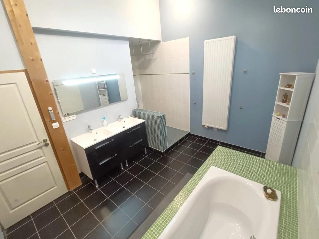 Longère 8 pièces 325 m² - Champigny en Rochereau 86170 (image principale 12)