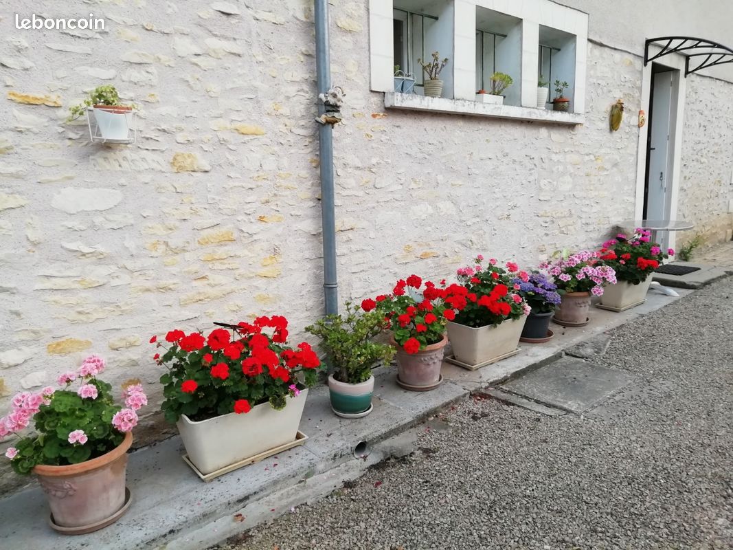 Maison 7 pièces 126 m² · à Richelieu · 126 m² · 149 000 €