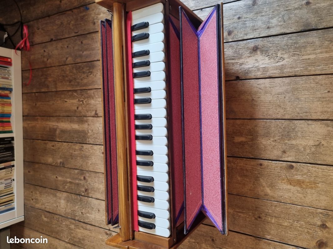 Shruti Box + Harmonium hybride (image 4)