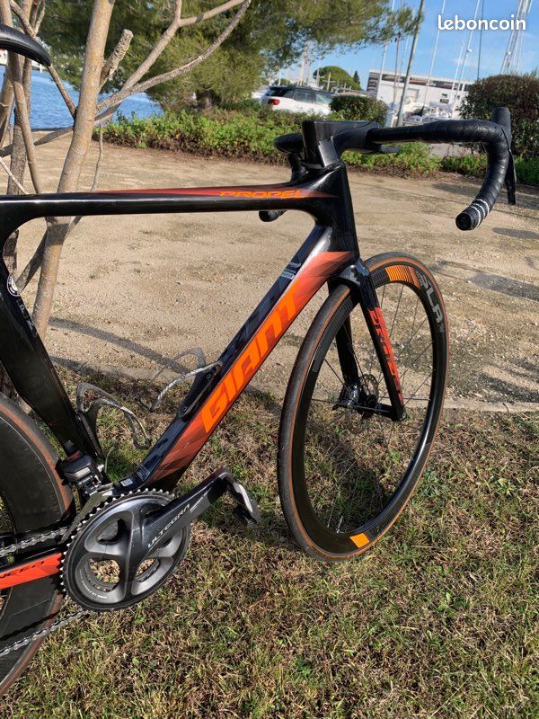 Giant Propel Advanced Pro disc ML Carbon (image 3)