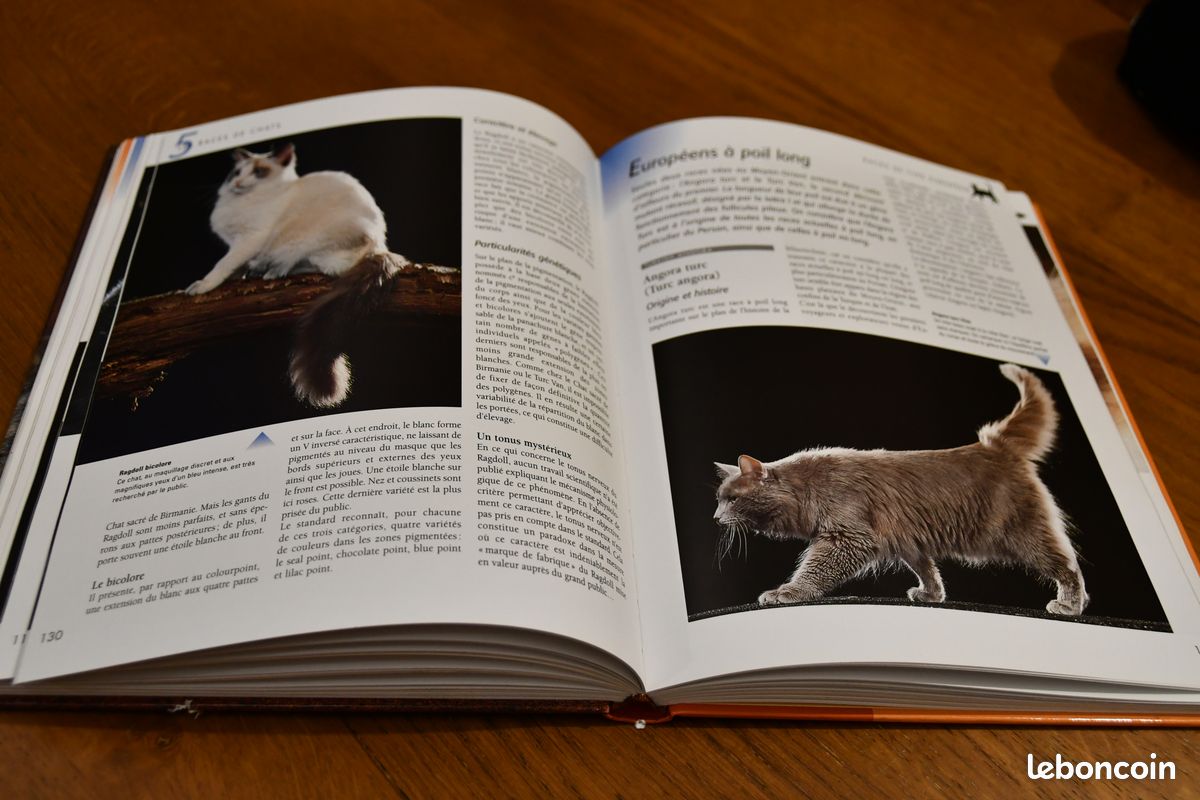 Larousse Du Chat - Comportement, Soins, Races (image 3)