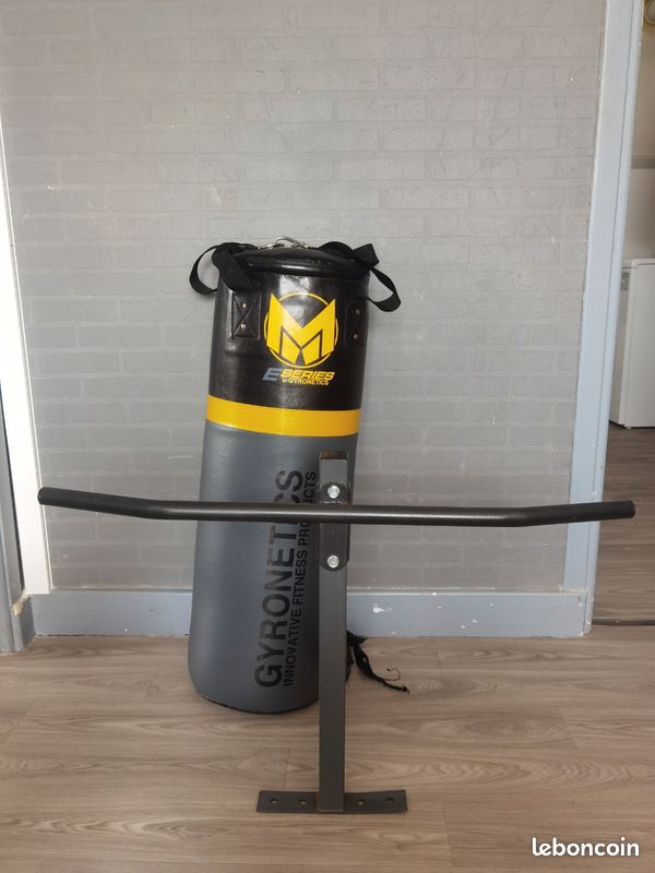 Sac de Frappe Barre de Traction E Series By GYRONETICS Neuf