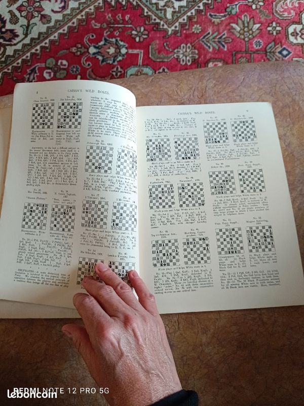 Five classics of fairy chess (image 11)