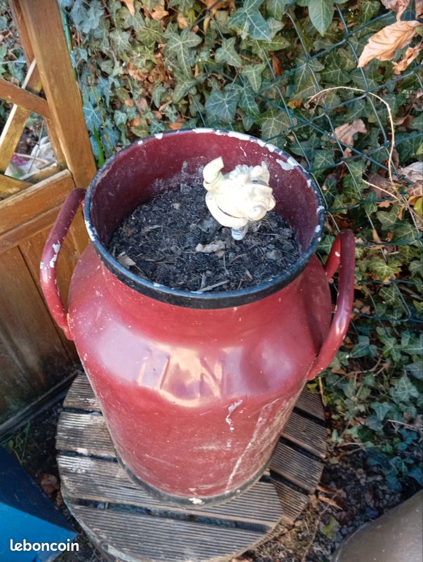 Jardin pot au lait (image 3)