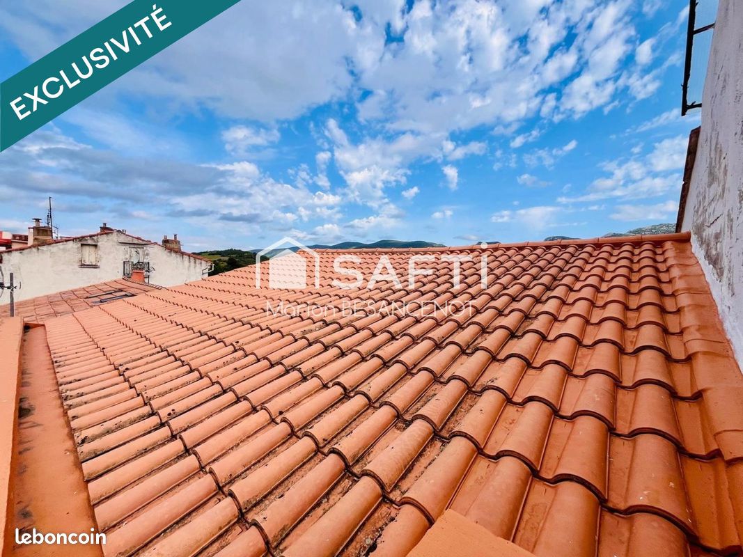 Immeuble 200 m² SAINT-PAUL-DE-FENOUILLET (image 15)