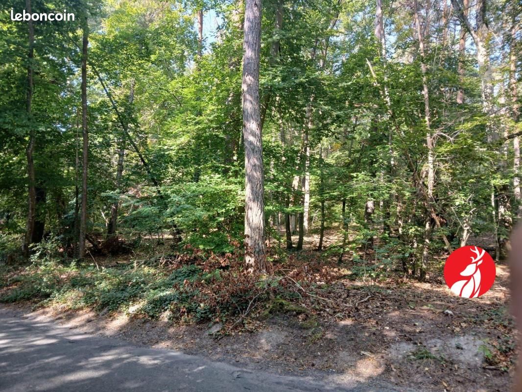 Terrain 1 695 m² Montigny Sur Loing · à Montigny-sur-Loing · 19 000 €