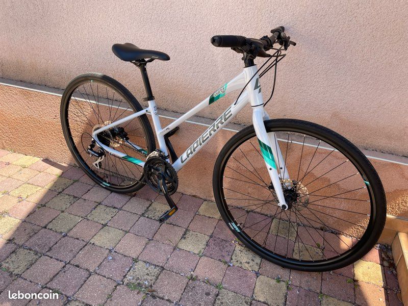 Borneobulletin Com Comfortable Bike Saddles For Sale