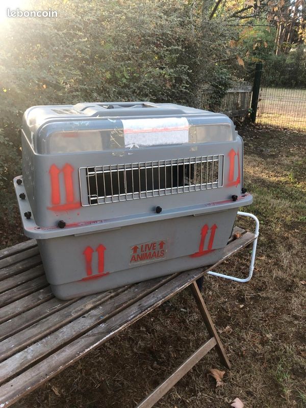 Caisse transport animaux IATA taille m chien ou chat (image 1)