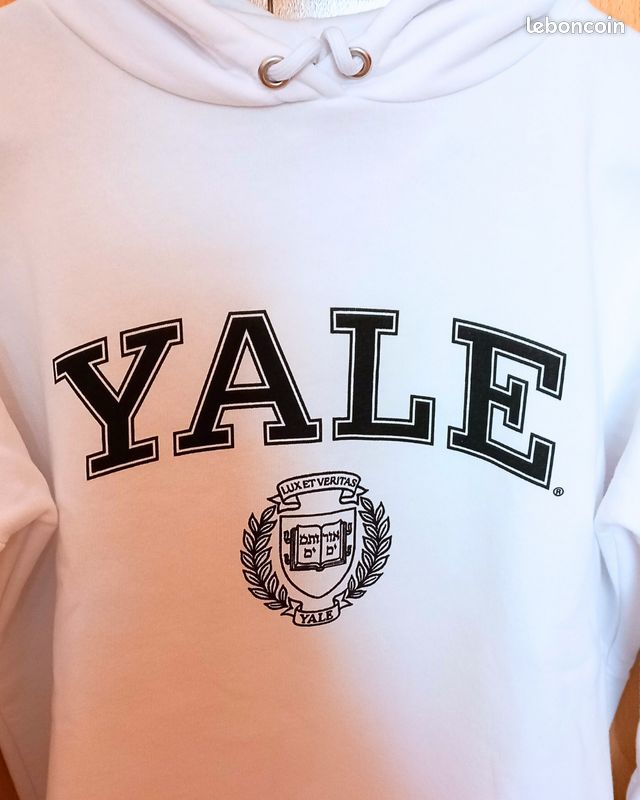 Sweat à Capuche Yale (image 3)