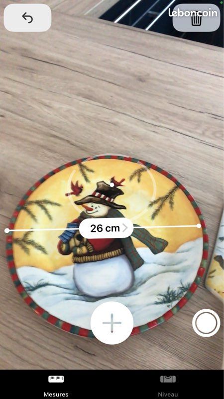 Assiette + pelle à tarte (image 1)