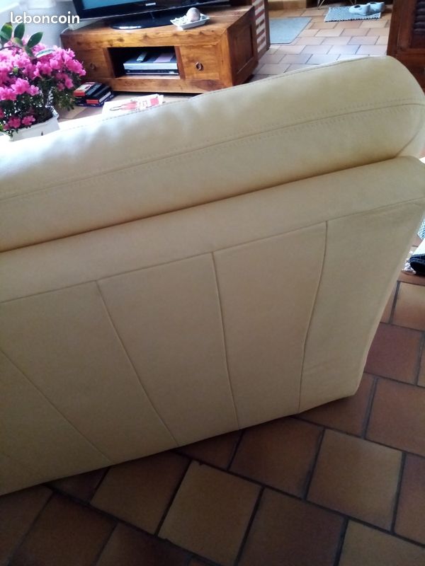 Canape en cuir (image 8)