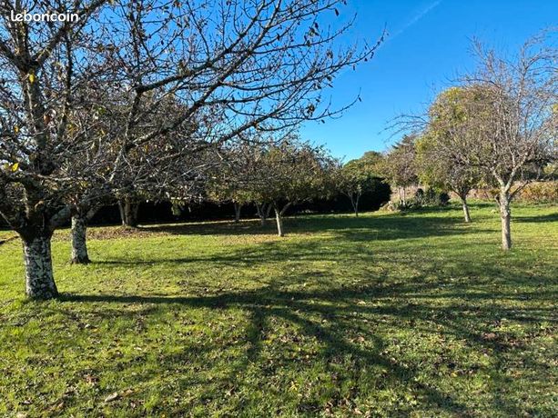 Terrain 1 633 m² Saint Vincent De Pertignas