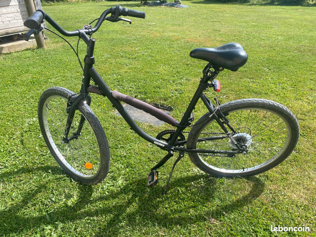 Electric Bike Velo 20 Pouces Scrapper Scrapper Xc Vtt Exalta Femme