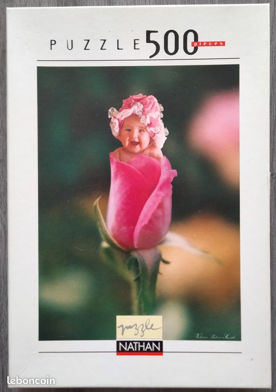Puzzle complet 500 pièces "Enfant dans la rose" (image 1)