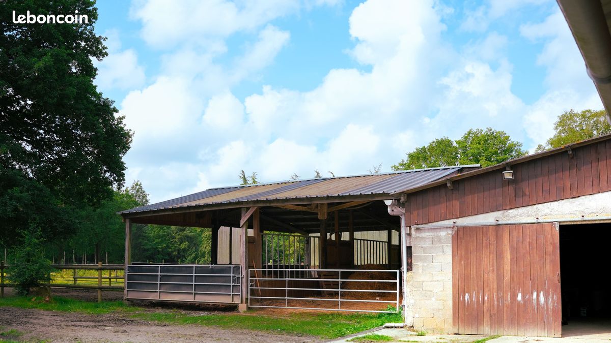 Propriété 15 pièces 443 m² (image 10)