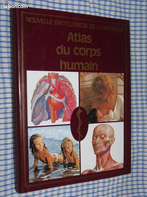 Atlas du corps humain (image 1)
