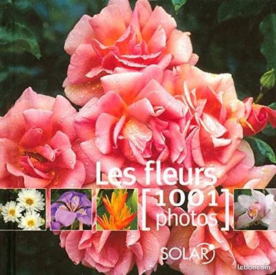 Les Fleurs - 1001 Photos (image 1)