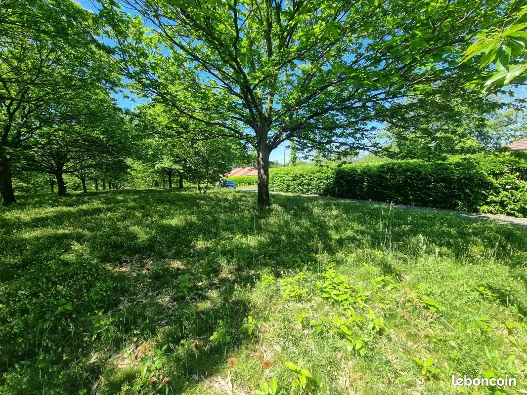 Terrain 4 020 m² Saint Yrieix La Perche (image 8)