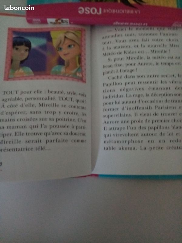 Miraculous et spirit (image 4)