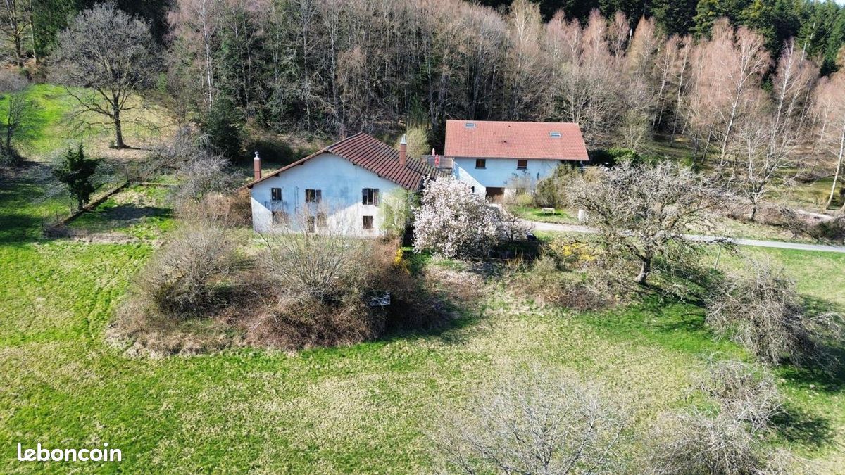 Maison 9 pièces 550 m² · à Remiremont · 550 m² · 485 000 €