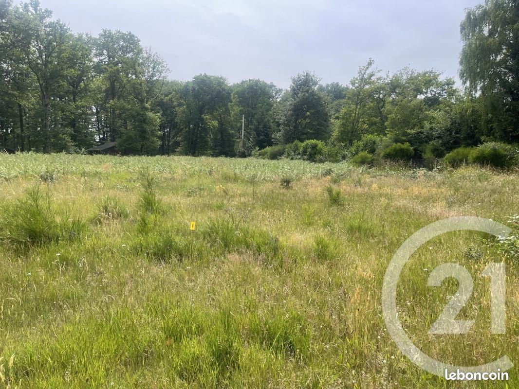 Terrain 1 056 m² Vitry Aux Loges (image 1)