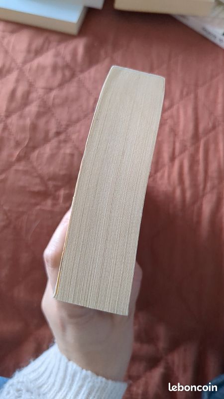 Un peu beaucoup à la folie de Liane Moriarty (image 4)
